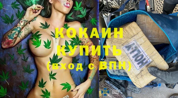 PSILOCYBIN Белокуриха